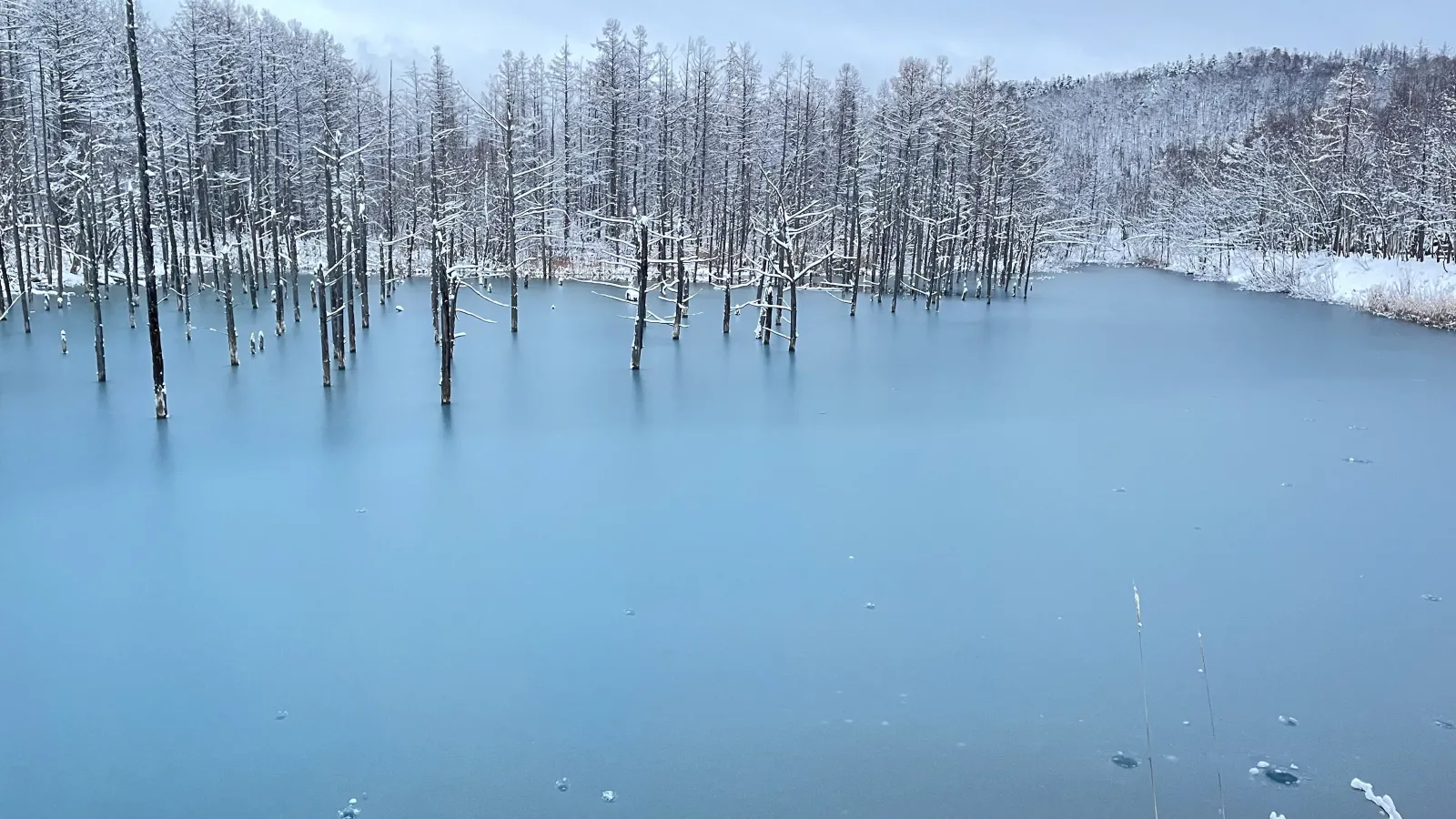 次の日にももう一度昼間の様子をww

あいにくの曇り空でしたがコレはコレで良い！
