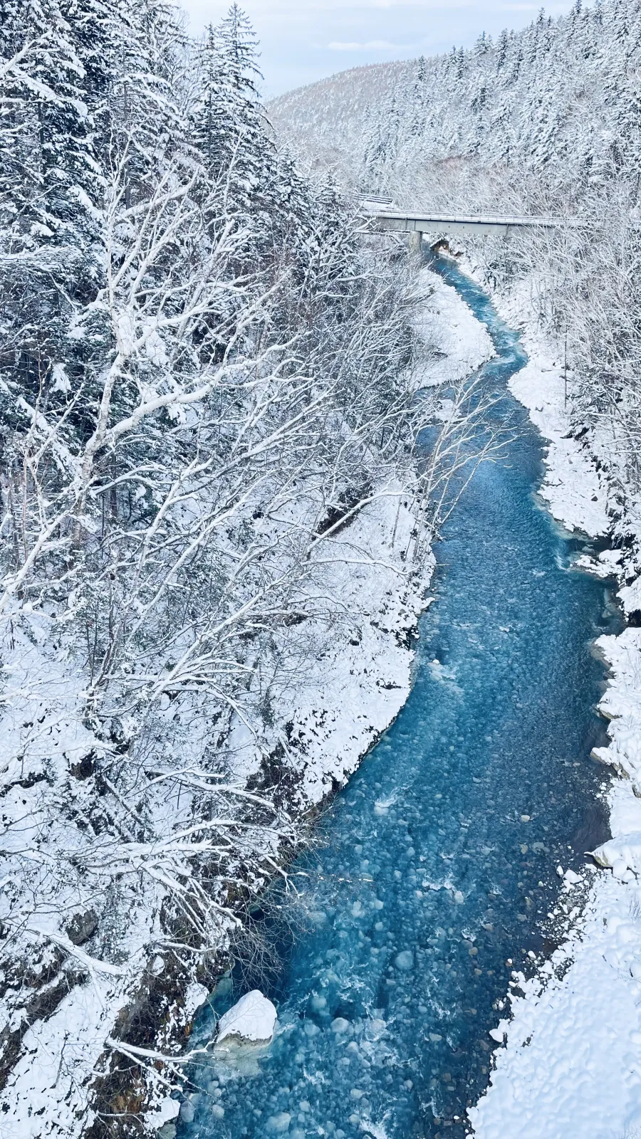 近くを流れる美瑛川。

水が青く見えるのは海と太陽の反射ではなく、鉱物のアルミニウムが関係しているそうで、この辺一体の水は青くなるんだそうで。
詳しい事は書きませんが、自然が織りなす芸術にまた心を躍らされた僕でした。

今回は旅というより小旅行w