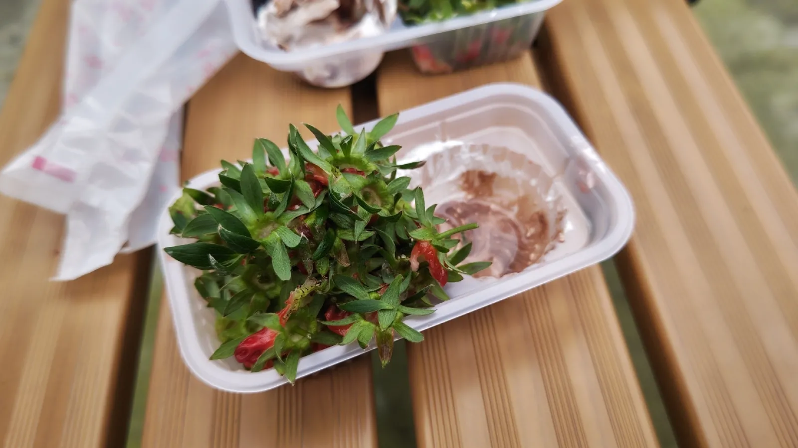 ということで53個を食して狩り終了。

ここの狩り場はなかなか良かったです🎵