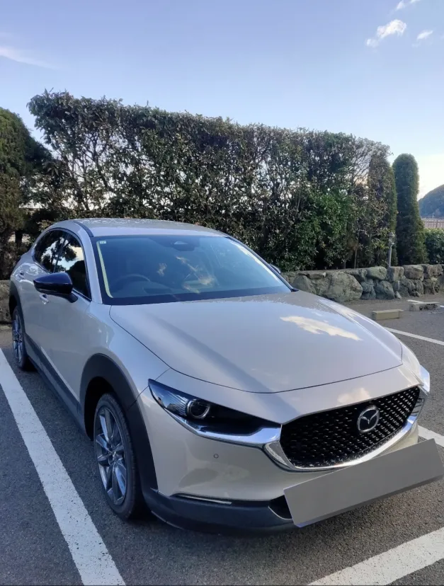 コンパクトなSUV