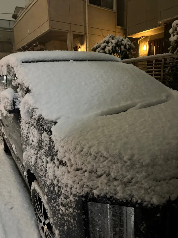 久しぶりに東京で積雪