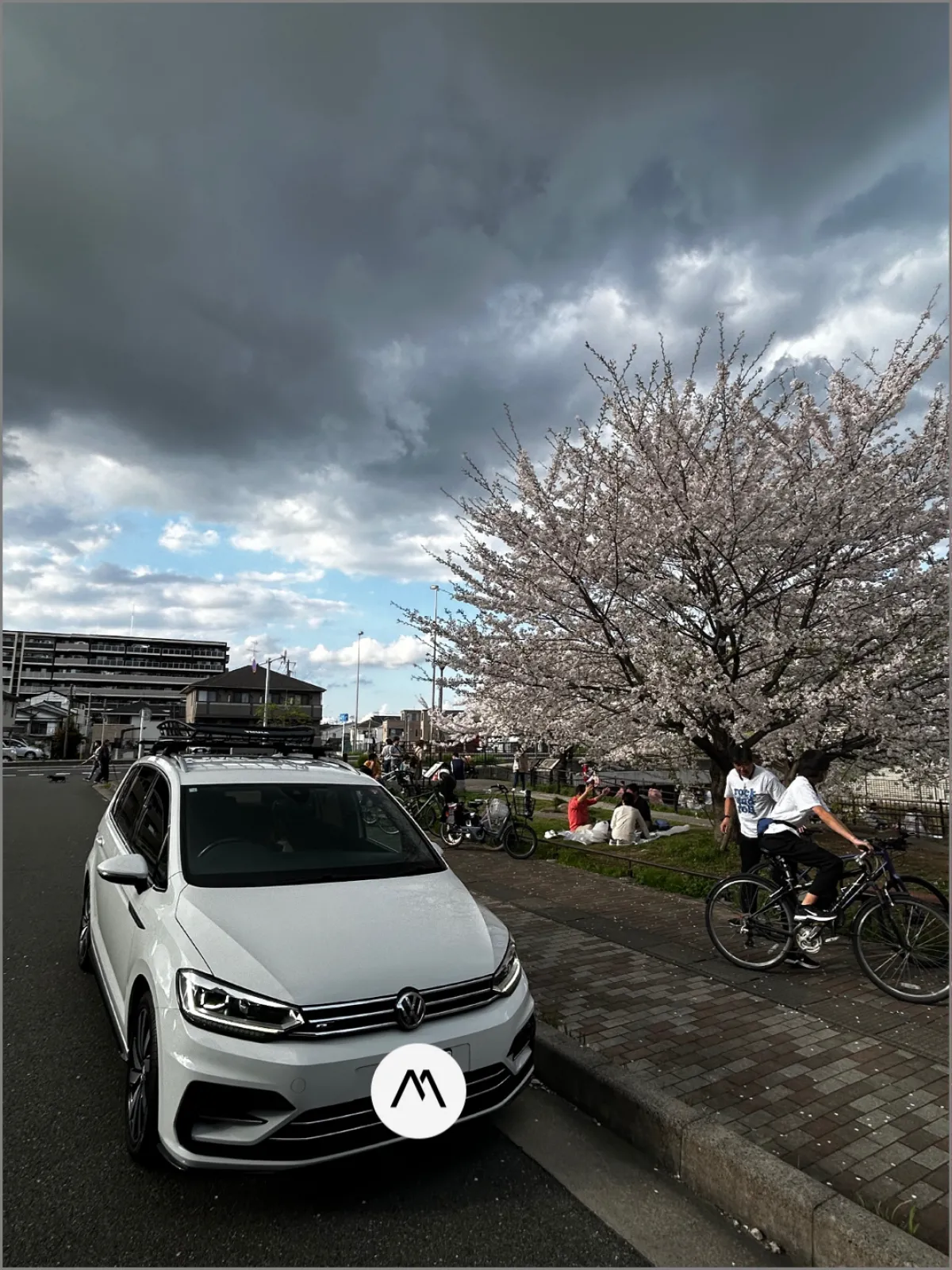 洗車して
御機嫌ワーゲンでお花見ワーゲン🌸
