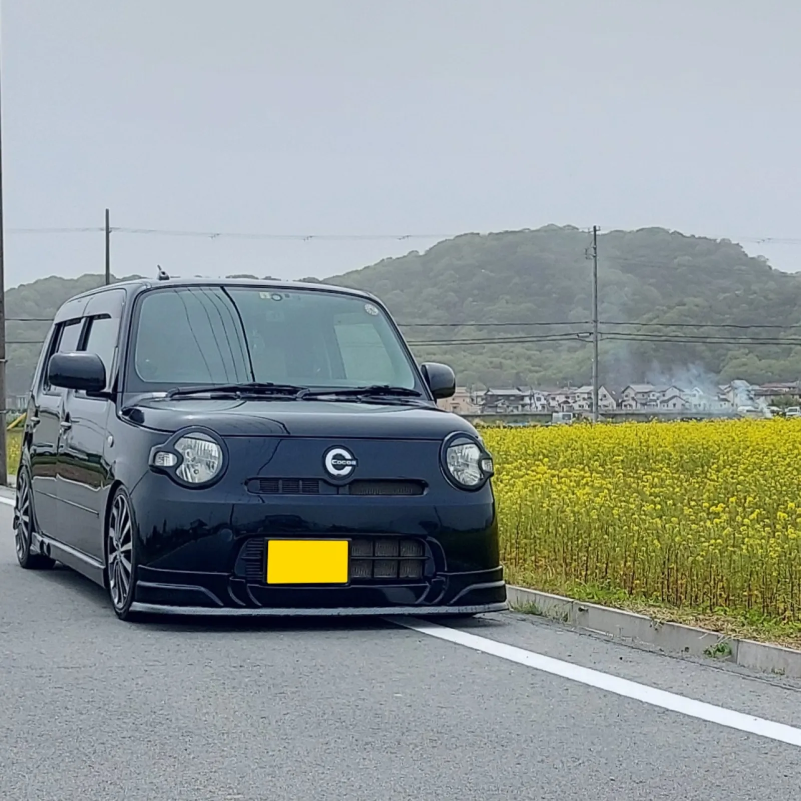 せっかく菜の花畑見つけたのに
黄砂で空が霞んでます⤵️