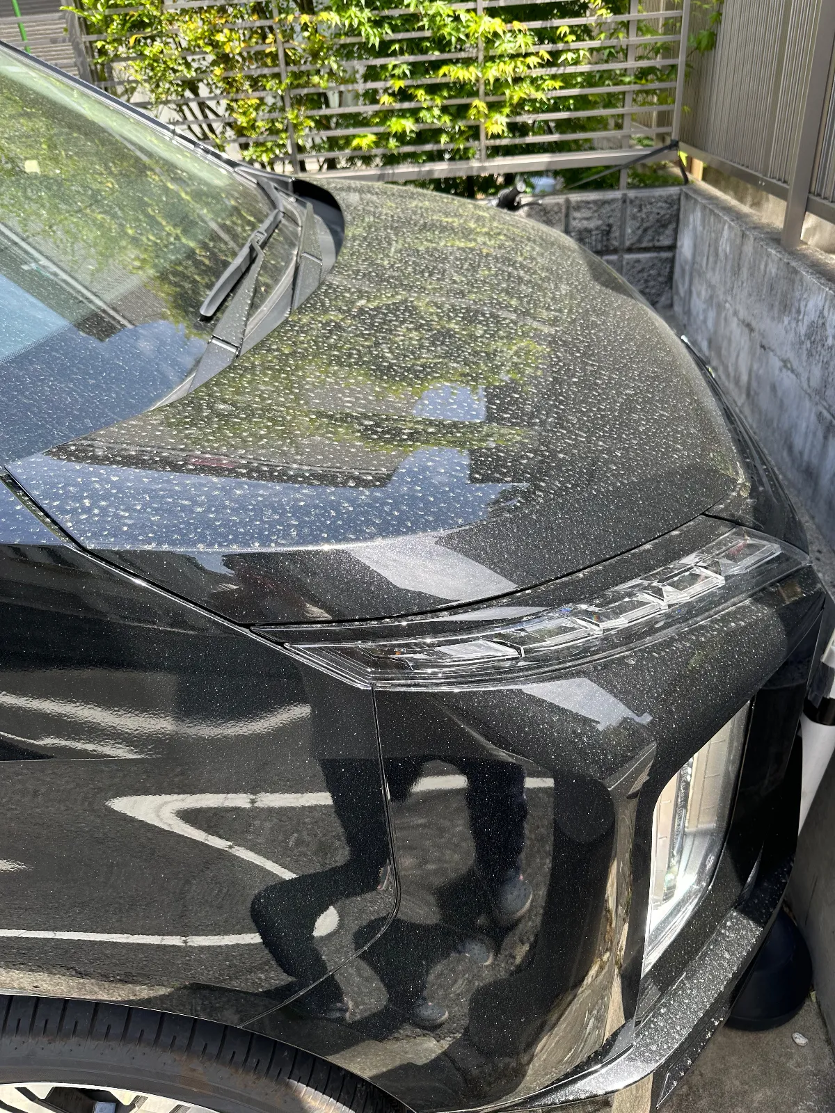 先日の黄砂で大変なことになっています。洗車機に入れに行ったら大行列で、やむなく手洗い洗車することにしました。