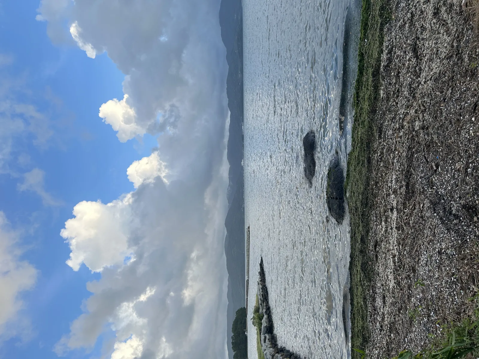 海綺麗でした