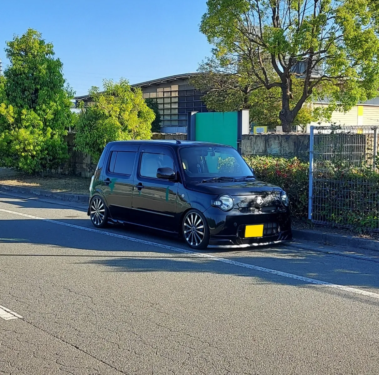 目が覚めたので朝活🌞