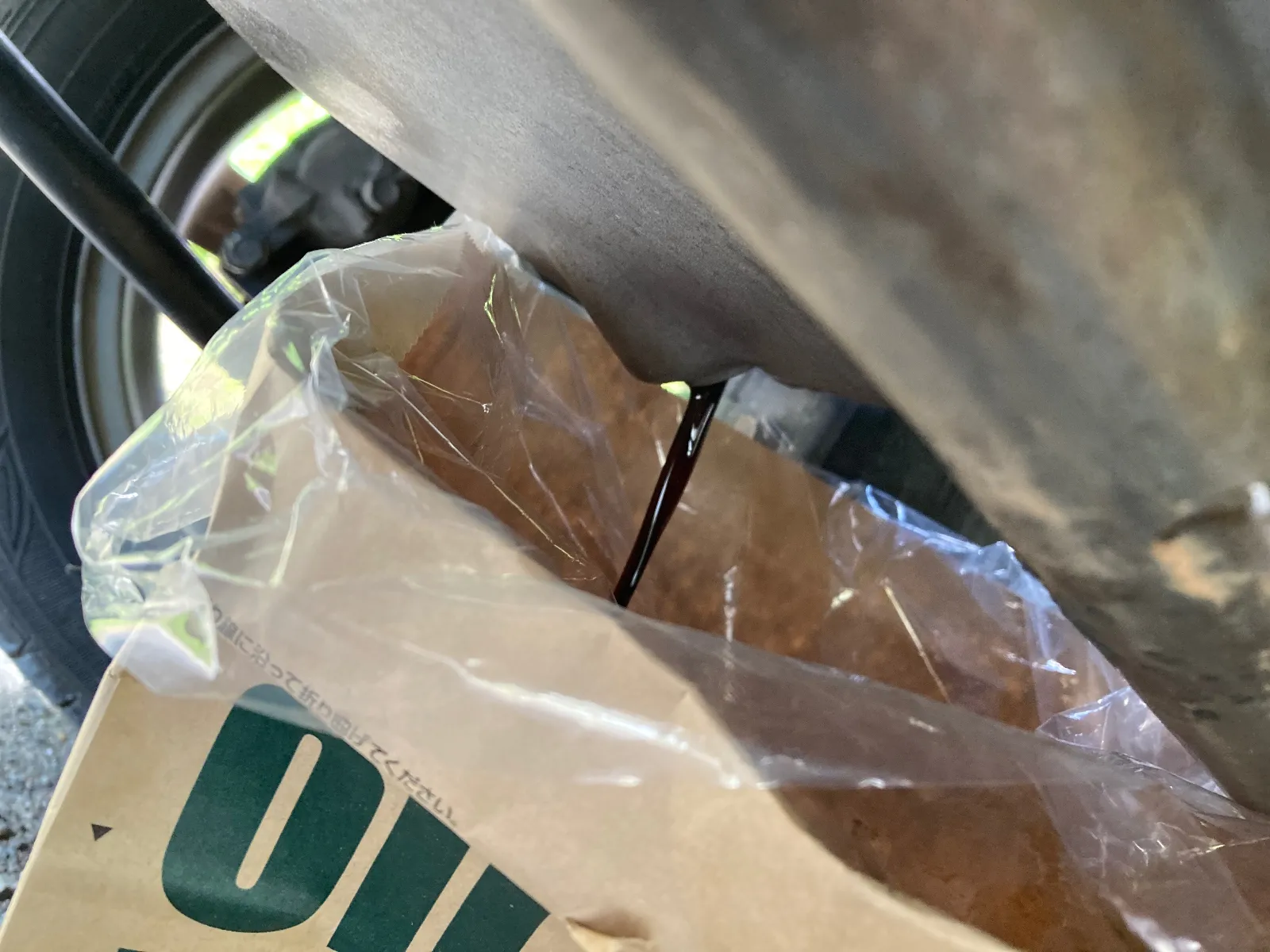 初エンジンオイル抜き