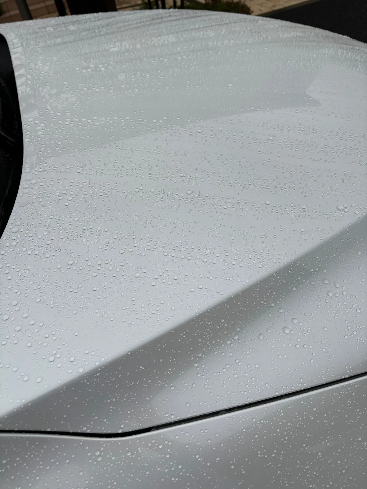 23日　関東は雨でしたので写真撮りました！
ナイスな撥水👍