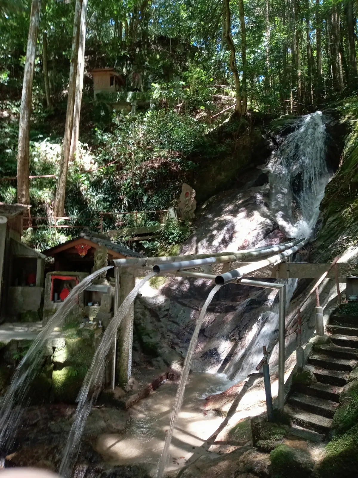 お昼も済ませ、次は帰り道にあって
気になっていた不入道の滝です😁

滝行もされている方もおられました😁