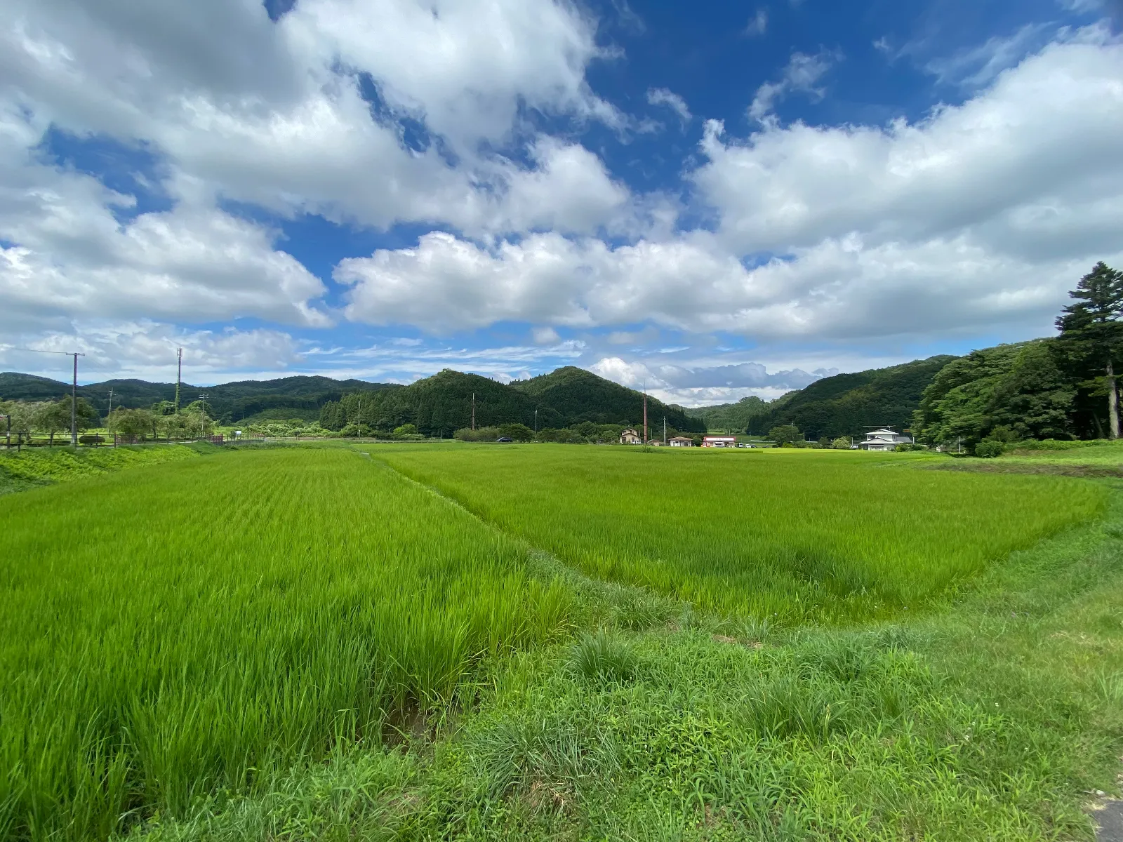 嫁さんの実家の福島県に帰省中
首都圏と違って朝夕は、超涼しいです！
