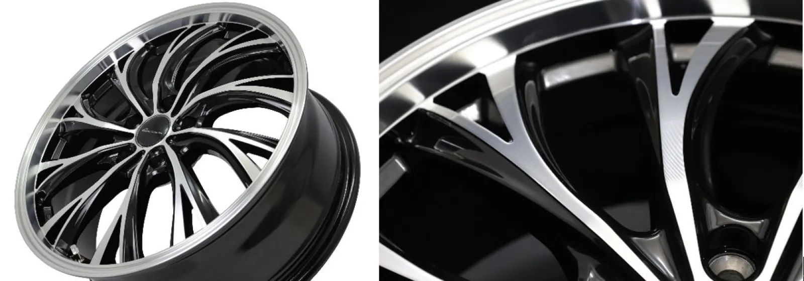 h*a様 Seedborn Muse 種子生まれの詩神　ホイール Amazon.co.jp: マジックザギャザリング MTG 緑 日本語版 種子生まれの