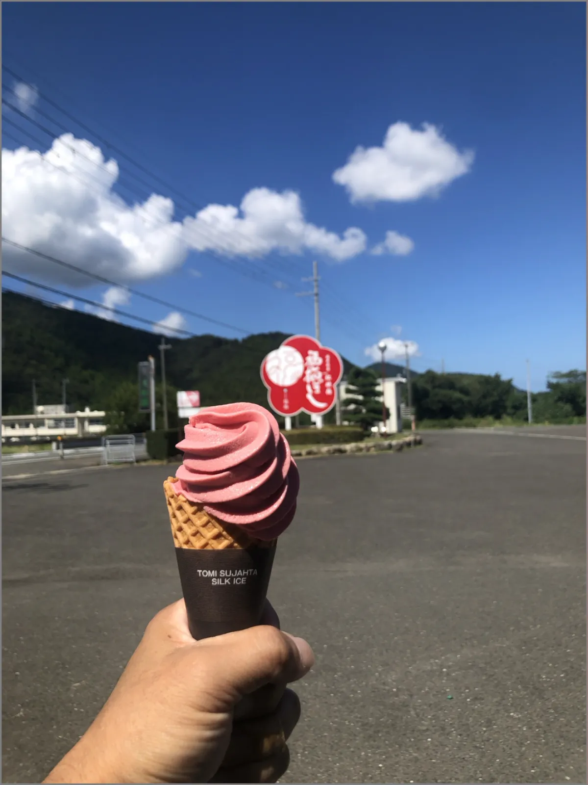 天気が良くて三方五湖展望台までプチドライブ、
名産の梅を使ったソフトクリームは酸味がありサッパリした後味、細かくされたカリカリ梅入りで美味しかったです。