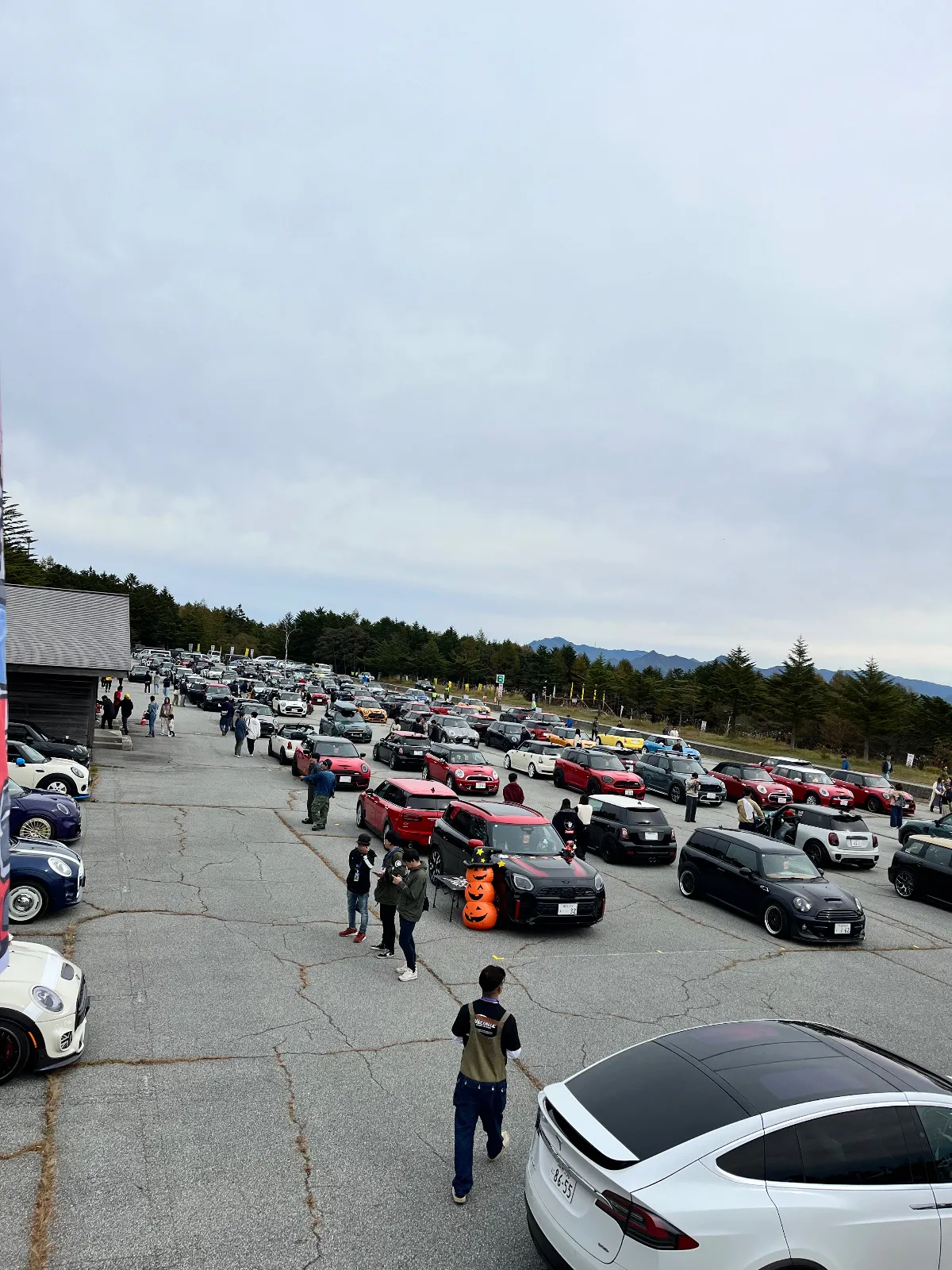 MINI、MINI、MINI、MINI…な1日になりそうです笑