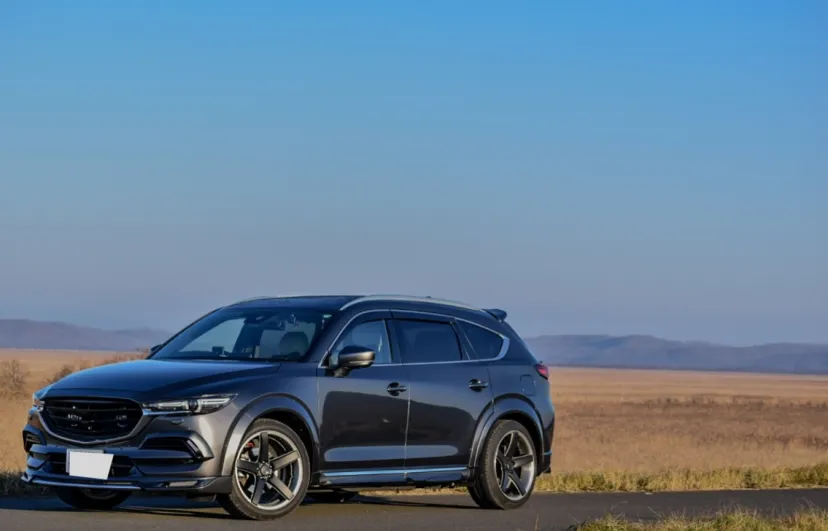 BORDO HAYABUSA02 | マツダ CX-8 カー用品レビュー | カーライフSNS