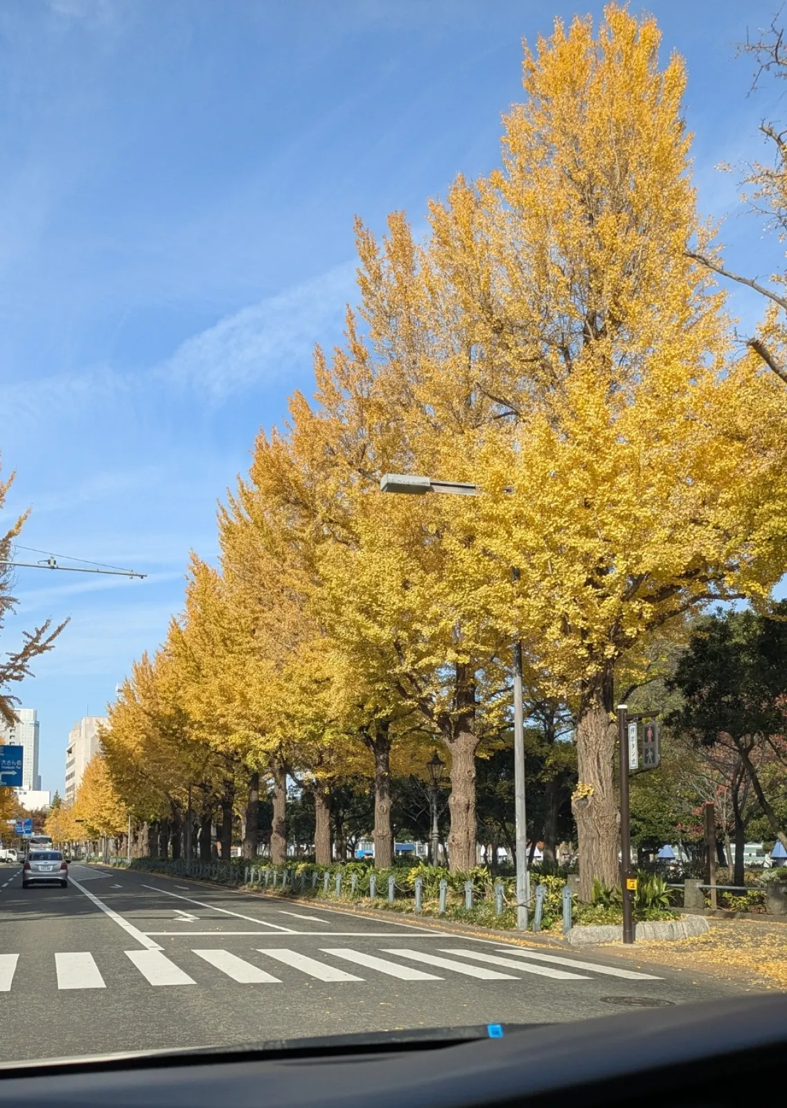 冷え性過ぎて
ちょっと身体が冷えると
なかなか温かくならないので