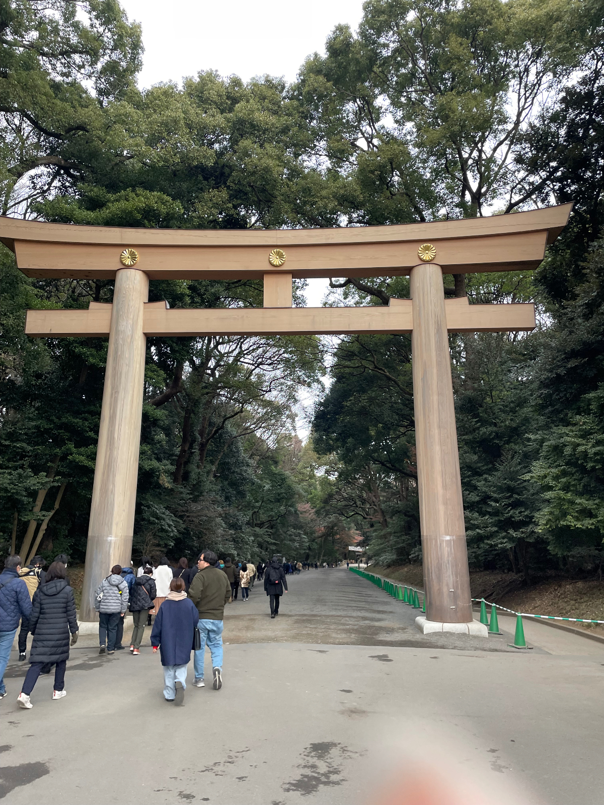 2025年のスタートに明治神宮に参拝⛩️ | カーライフ | カーライフSNS
