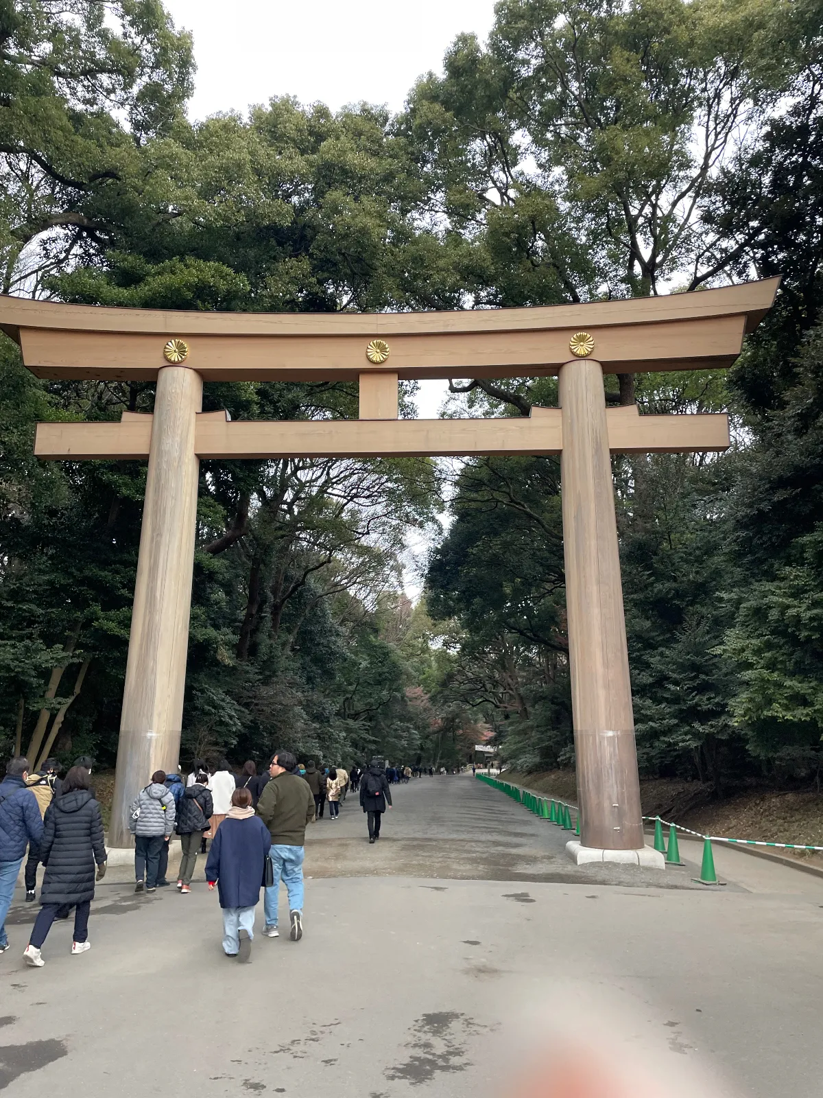 2025年のスタートに朝早くから参拝⛩️
ここに来るといつも不思議と気分が落ち着きます。