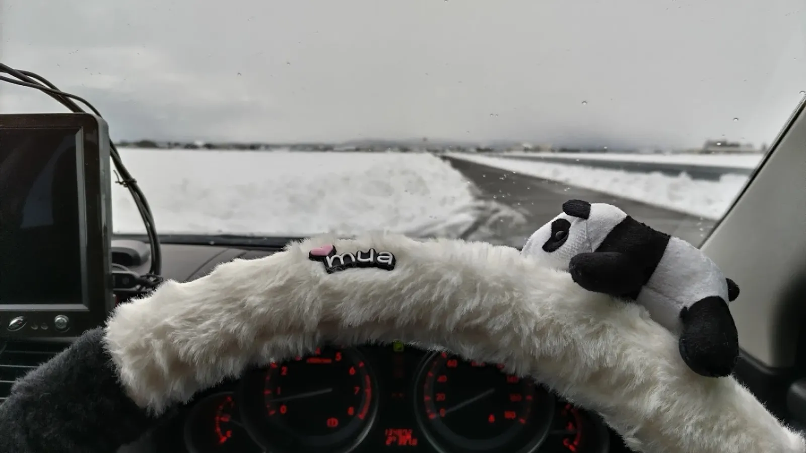 とってもかわいいでしょ(;^ω^)

外は雪景色です。田んぼも雪に埋もれています。白鳥たちはどこに行ったのかしら。