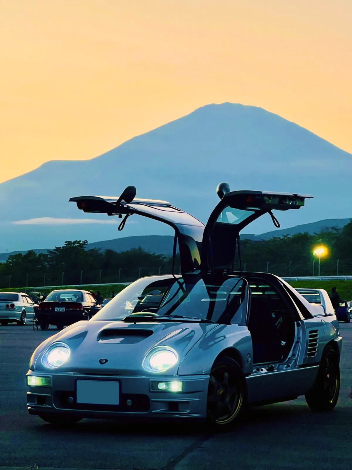 去年の上げ忘れた画像をアップします。
黄昏時に富士山をバックにパチリ☺️j