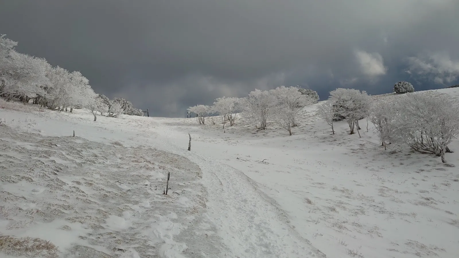 毎年、三峰山の霧氷み楽しみにして毎年登ります。山頂手前の霧氷のトンネルや八丁平の景色を観ると登ってきた疲れが一気に吹っ飛びます！