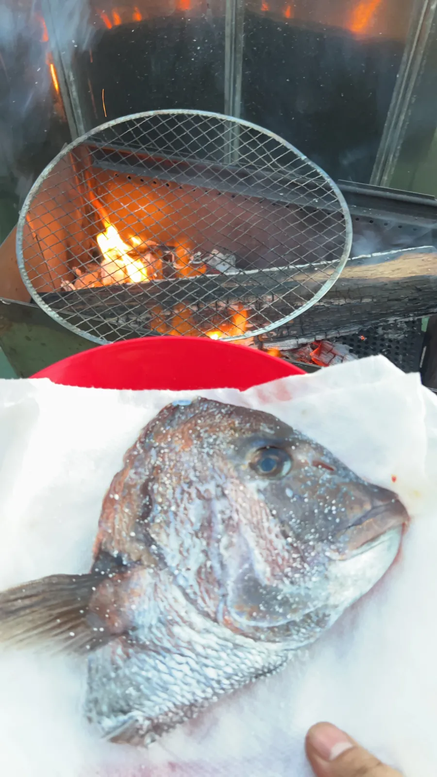 鯛頭食す