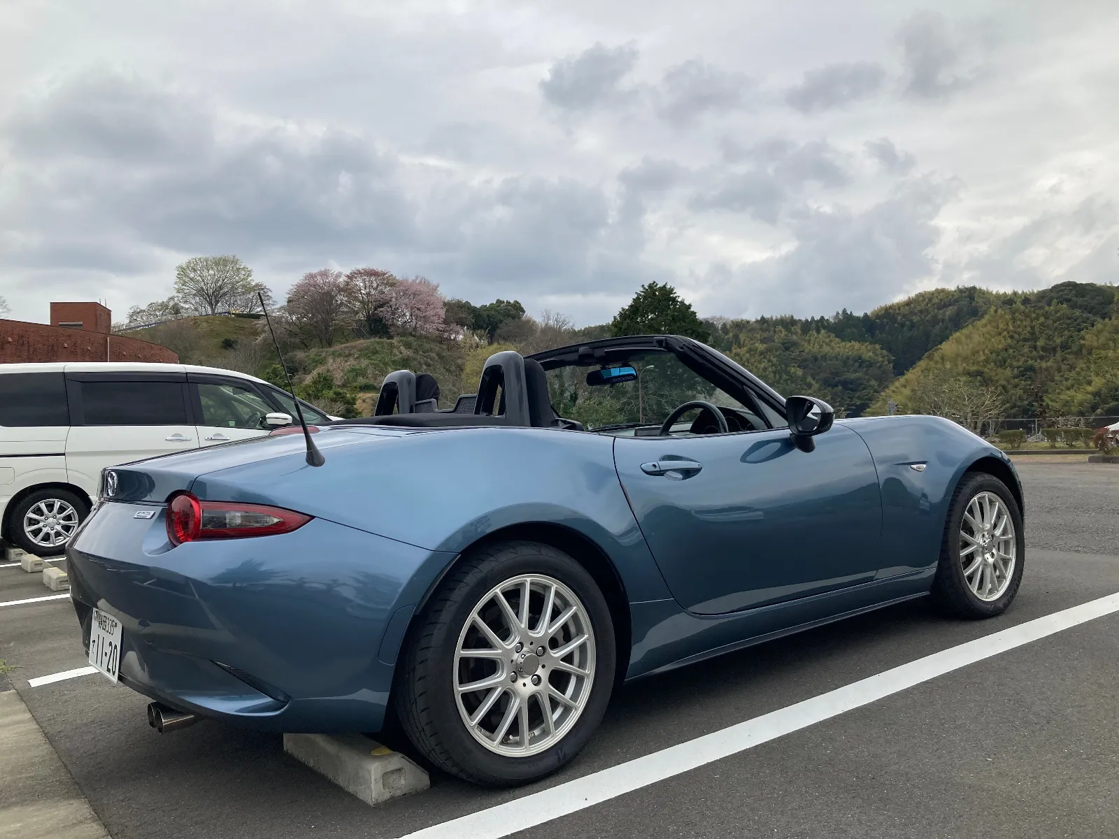 先週、蓮華寺池公園の桜は未開花でしたが、今日、覗きに立ち寄りました。

開花宣言後の二日間後、咲いてきています。