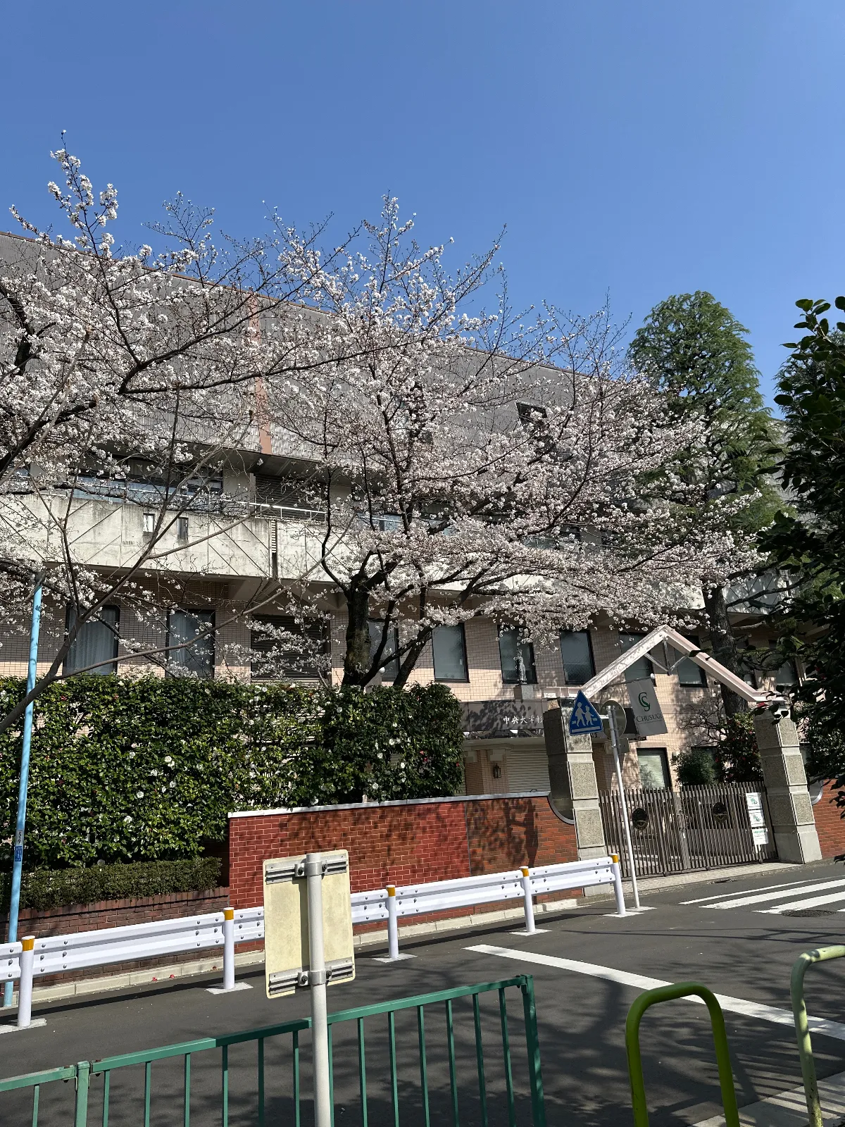 昨日は寒かったですが今日は春の暖かさが戻って来ました。買い物で出かけるとすっかり桜が満開ですね。