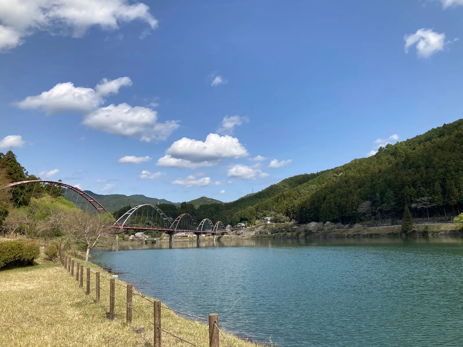 渡った先の岸からの景色はこんな感じです。
水辺の横は何故か落ち着きますね。
体に命に必要なものがあるからでしょうか。