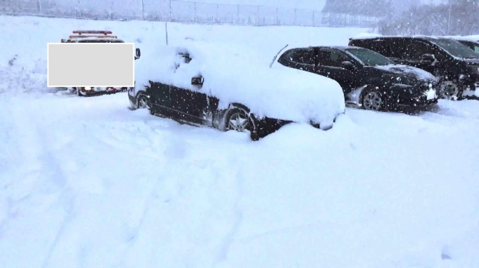 東北へ大雪のドライブ行きました！
東北道で車中泊したら雪に埋もれました(･･;)
除雪が大変でしたが、いい経験になりました。

冬が待ち遠しいなあ。。