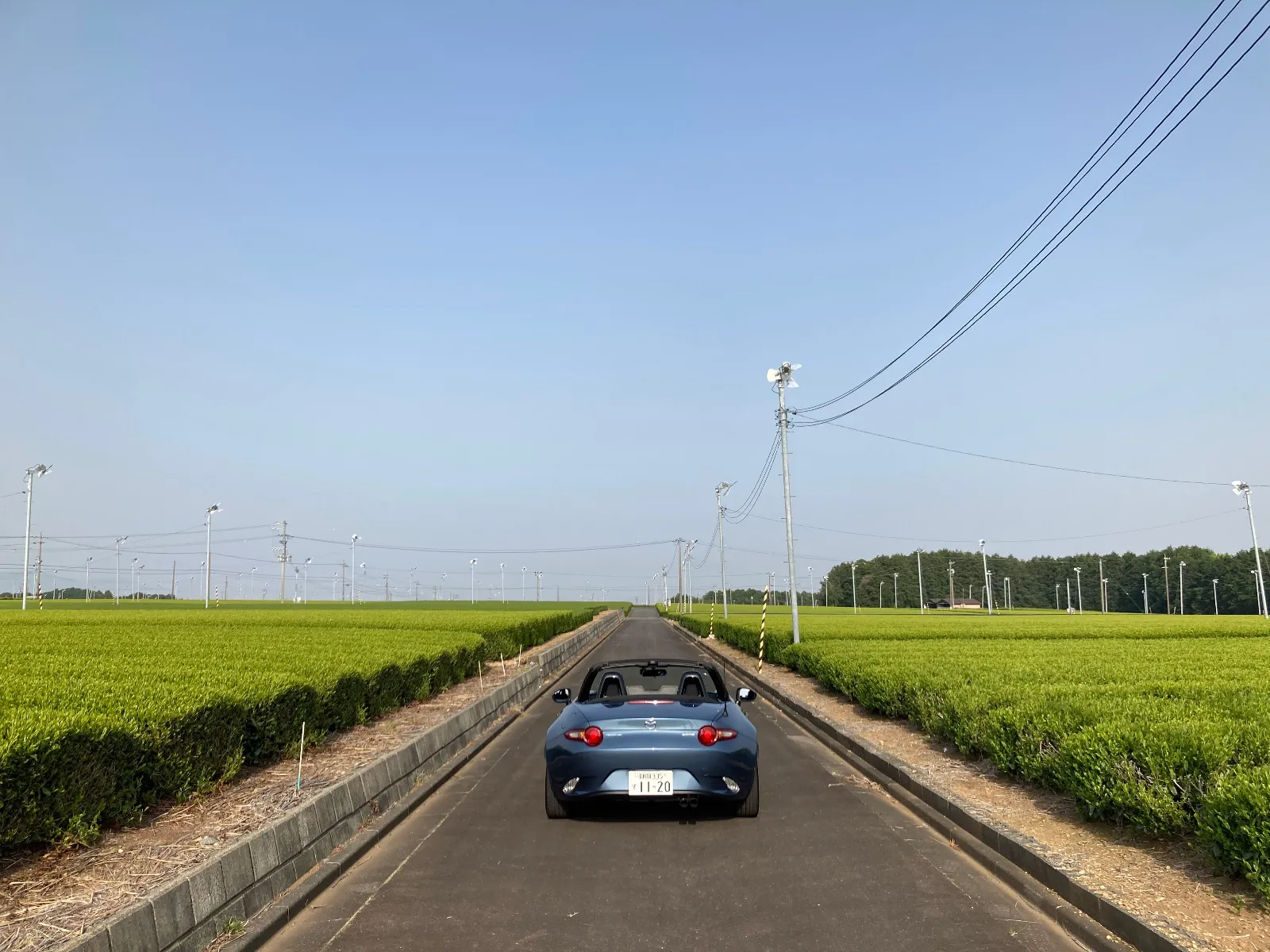 牧之原台地の茶園では、新茶の芽も出揃い始めました。この黄緑色の新緑、新芽の季節が大好き❤です。一年で生きるチカラ💪を感じ、元気をもらえます。数週間くらいで深い緑に変わって行きますが、日本人だとみなさん同じかと思いますが、インバウンドのみなさんも当然感じることと思います。先程は、日帰り温泉に入って来ましたが、海外の方がいっしょに温泉を堪能させていました。　ハマりますよ。といいたいですね。