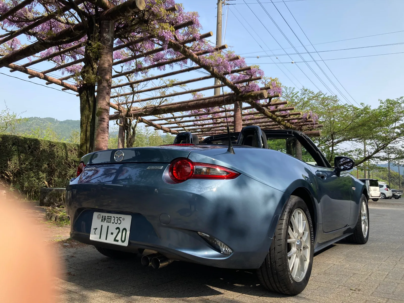 桜が散って、藤の花が代わりに咲き始めました。桜も新芽の葉の眩しい姿に変わっています。

今日はオープンで新緑を感じ、楽しいGWをイメージしながらロードスターの世界にハマります。気温は28℃、風は弱く、絶好調の日和です。最高だわ〜‼️
