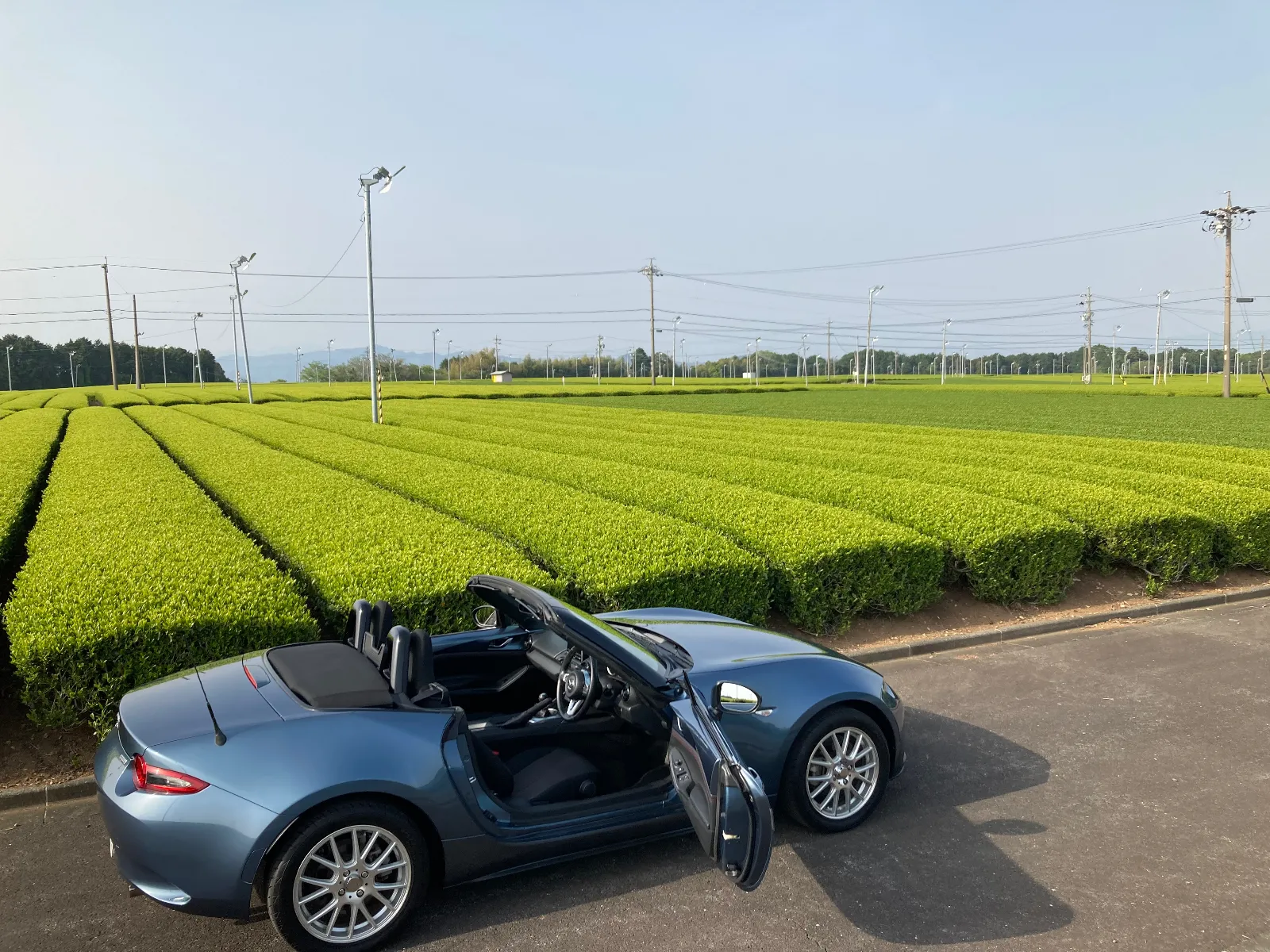 お馴染みの扇風機がたくさんあります。
遅霜避けのために動かします。
