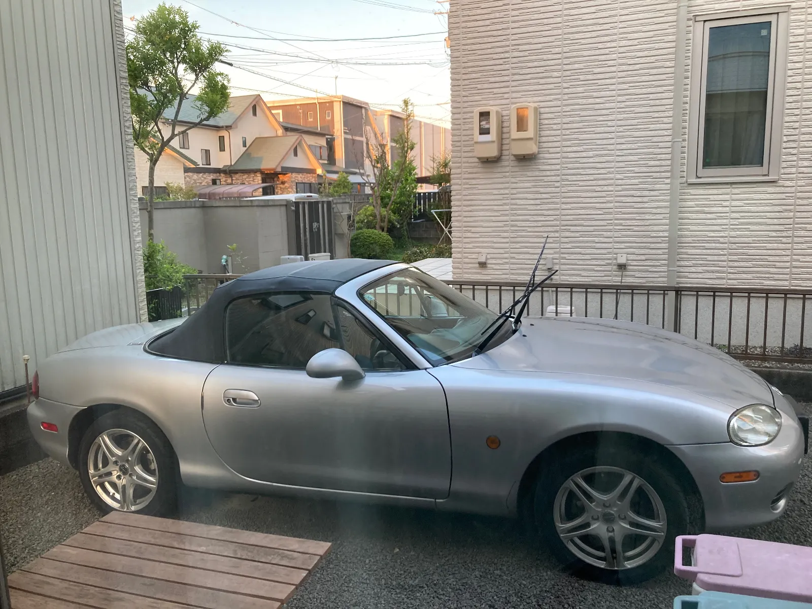 今日は天気☀️。いっしょにどこ行く？