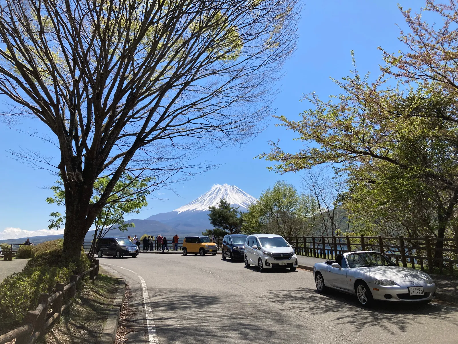 本栖湖の展望台により、今日の逆さ富士をお届けします。波があり、逆さ富士は拝めませんが、きれいに見えています。みなさん記念写真撮影に夢中になっています。　きれいですね。
