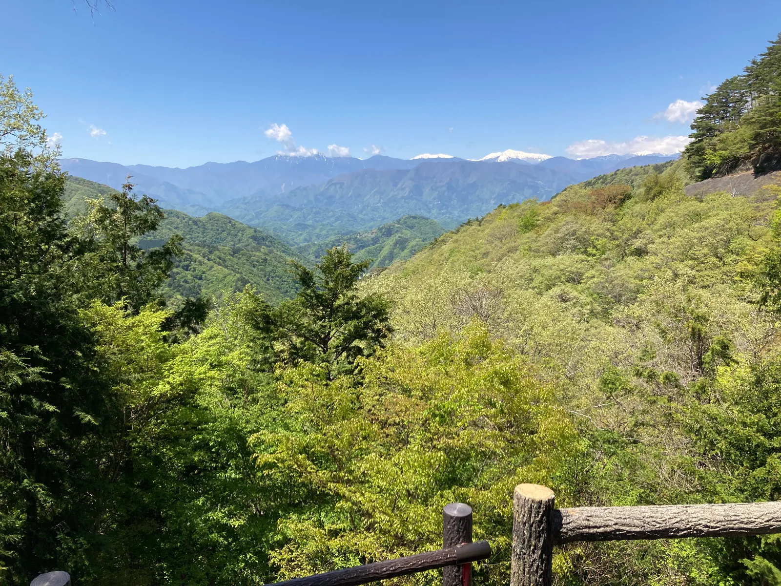 緑が眩しい‼️ 清々しい‼️生きてる実感‼️
自然の中にいる‼️
 秋の紅葉も素晴らしいところです。
自然林の生態形がそのままなのでありがたい。