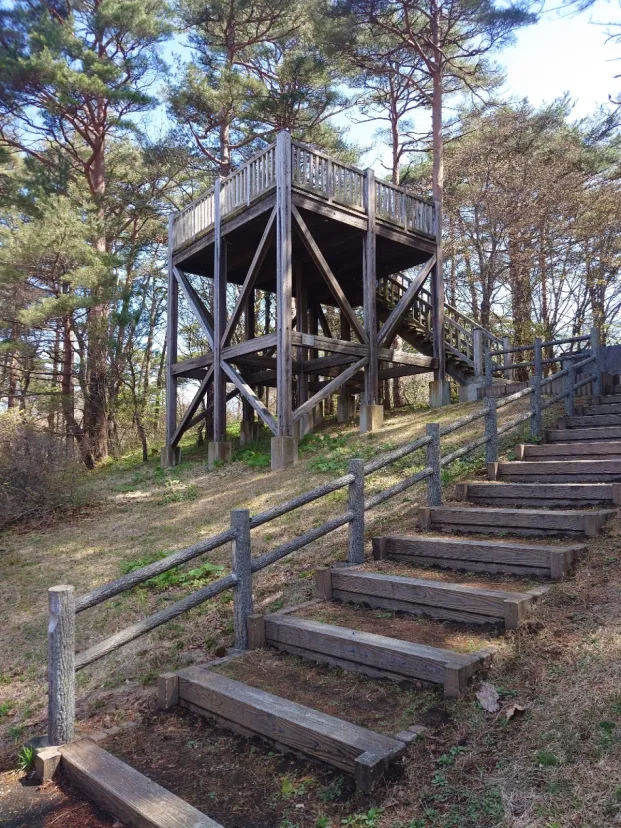 焼走り溶岩流の展望台