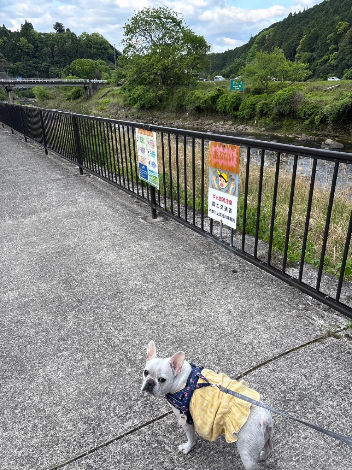 川辺を散策できます