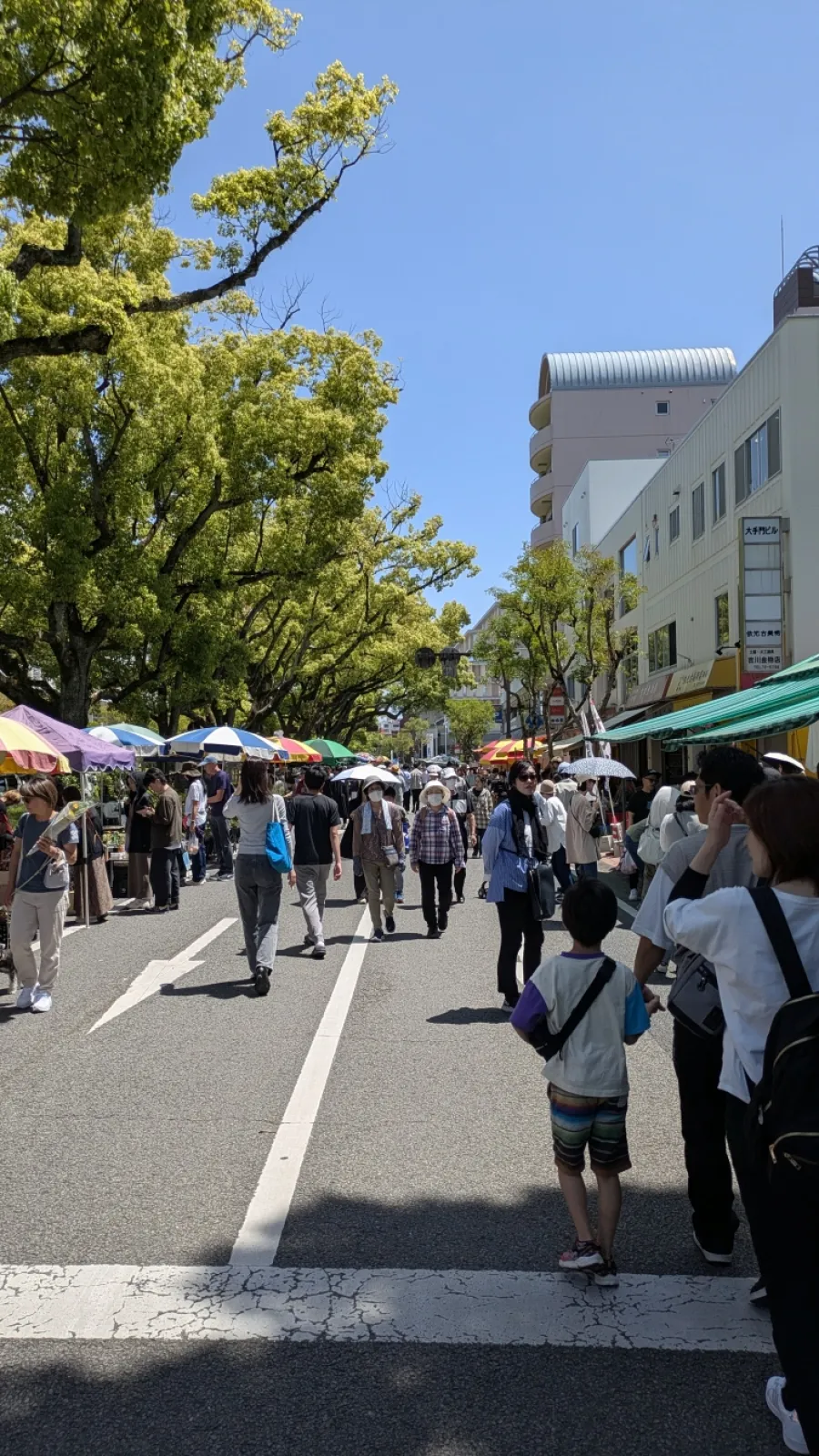 高知城下の日曜市へ。１キロ約300店舗あるらしい。その歴史は300年以上とか