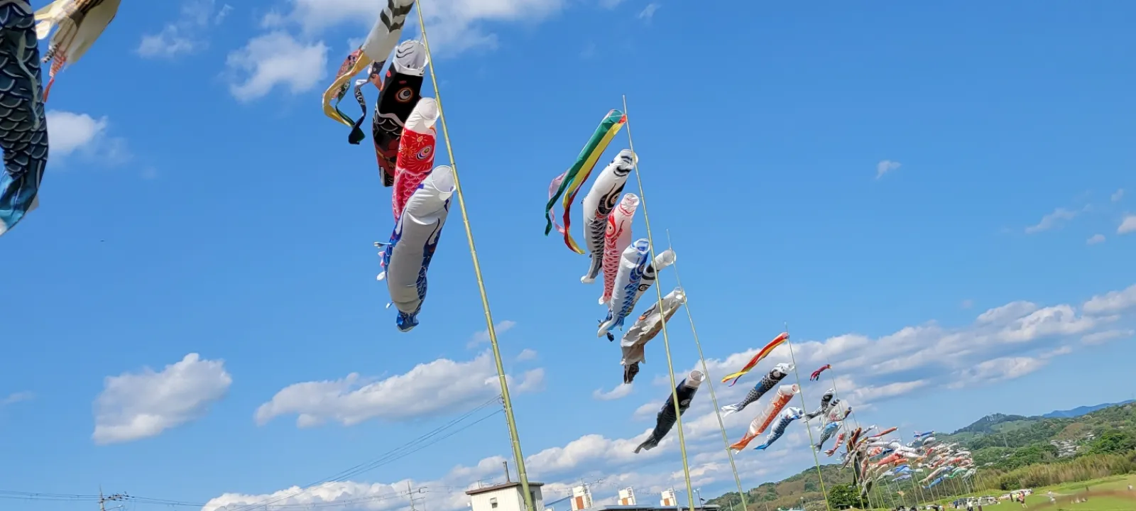 本日は奈良県五條市に来ております。
奈良県だと五條市が有名でしょうか。

京奈和道無料期間中なので便利ですが、イオンモールアルルが拡大したおかげで渋滞がひどくなってます。