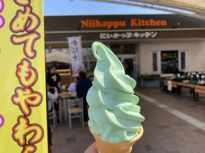 綺麗な色味でしょう