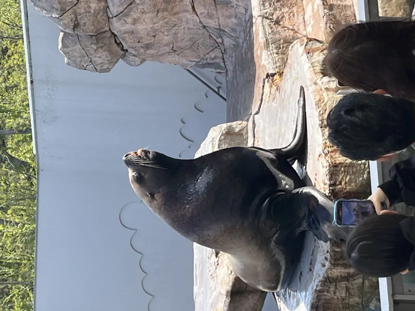 マリンピア日本海