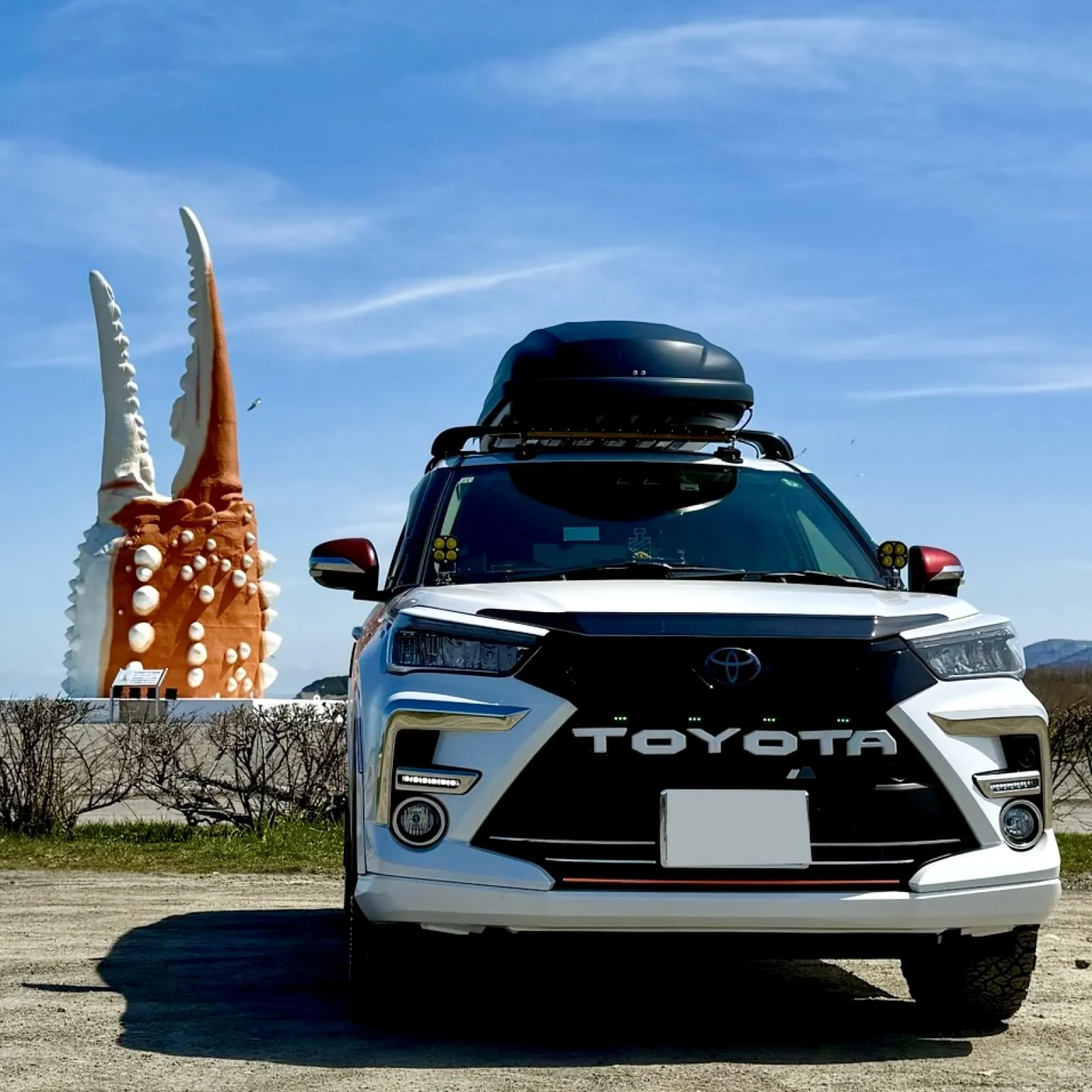 カニの爪オブジェ🦀