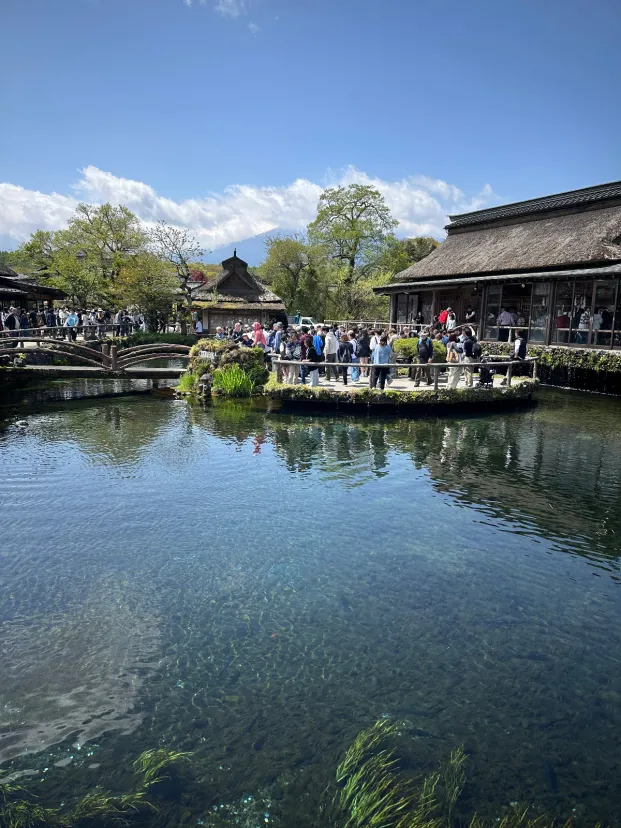 忍野八海