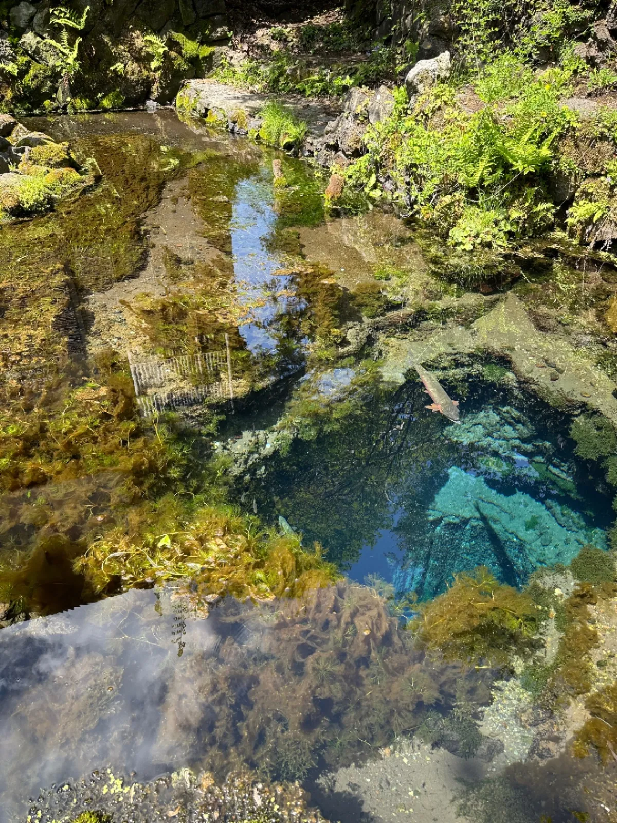 おすすめ1 お釜池
