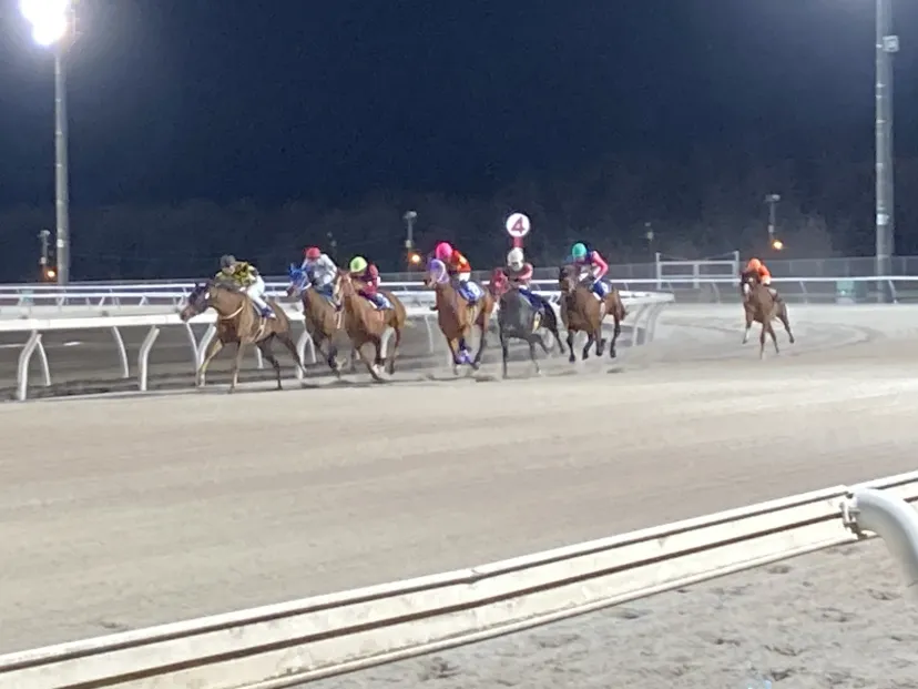 サラブレッド北海道門別競馬場　ナイターです