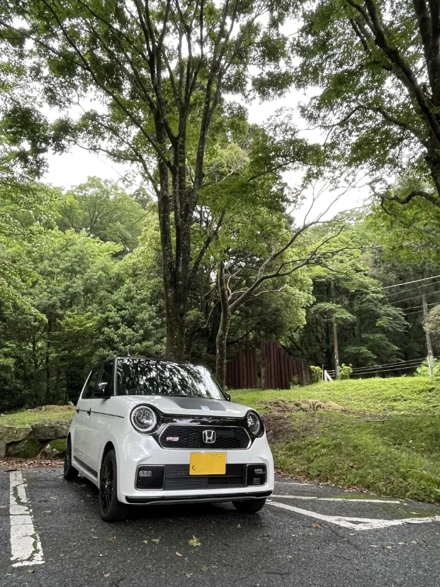 伊豆　道の駅天城越え