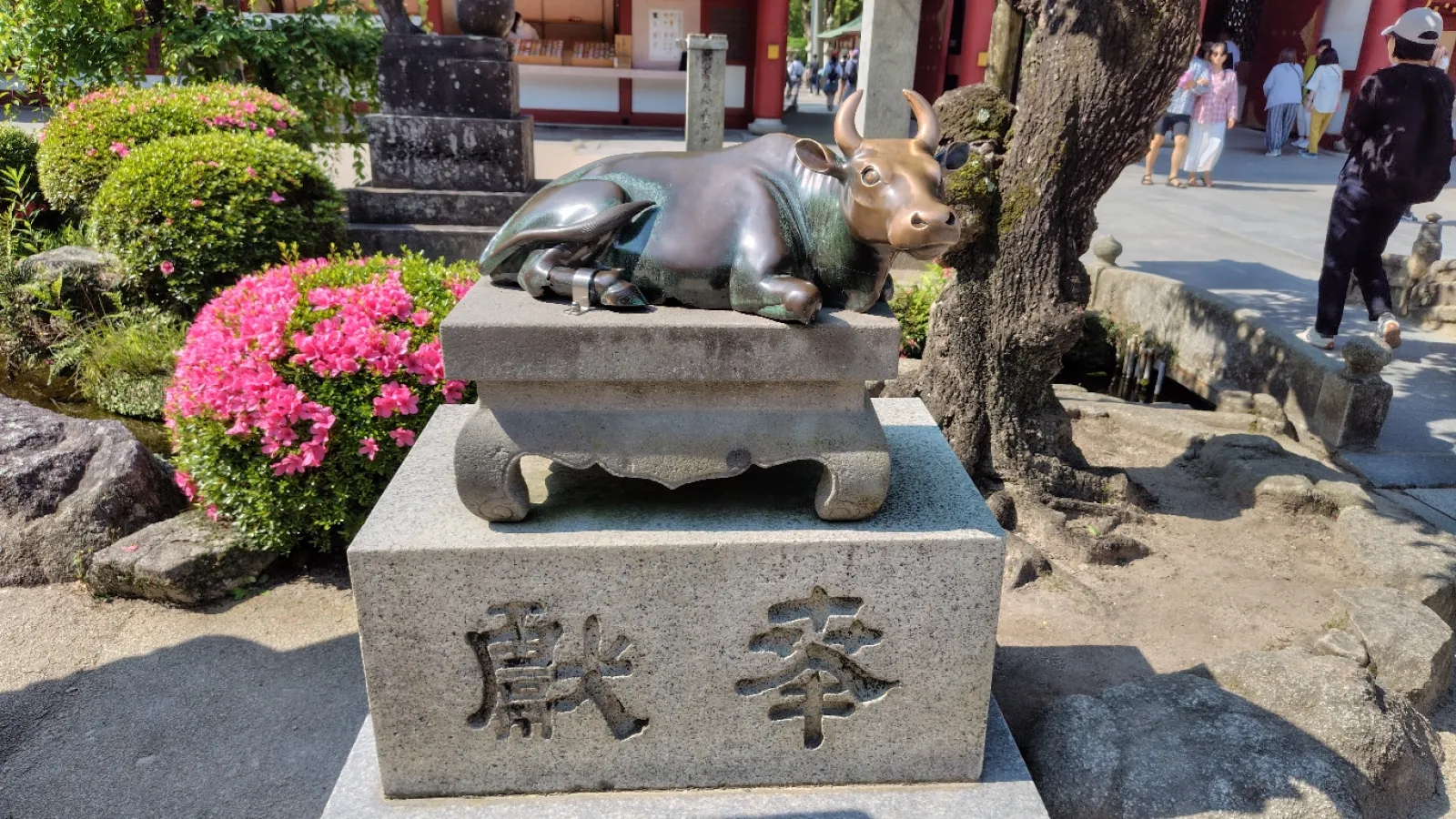 いろんな場所に「牛」がいます