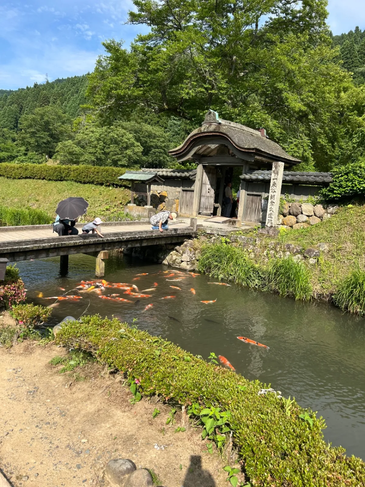 一乗谷朝倉氏遺跡唐門