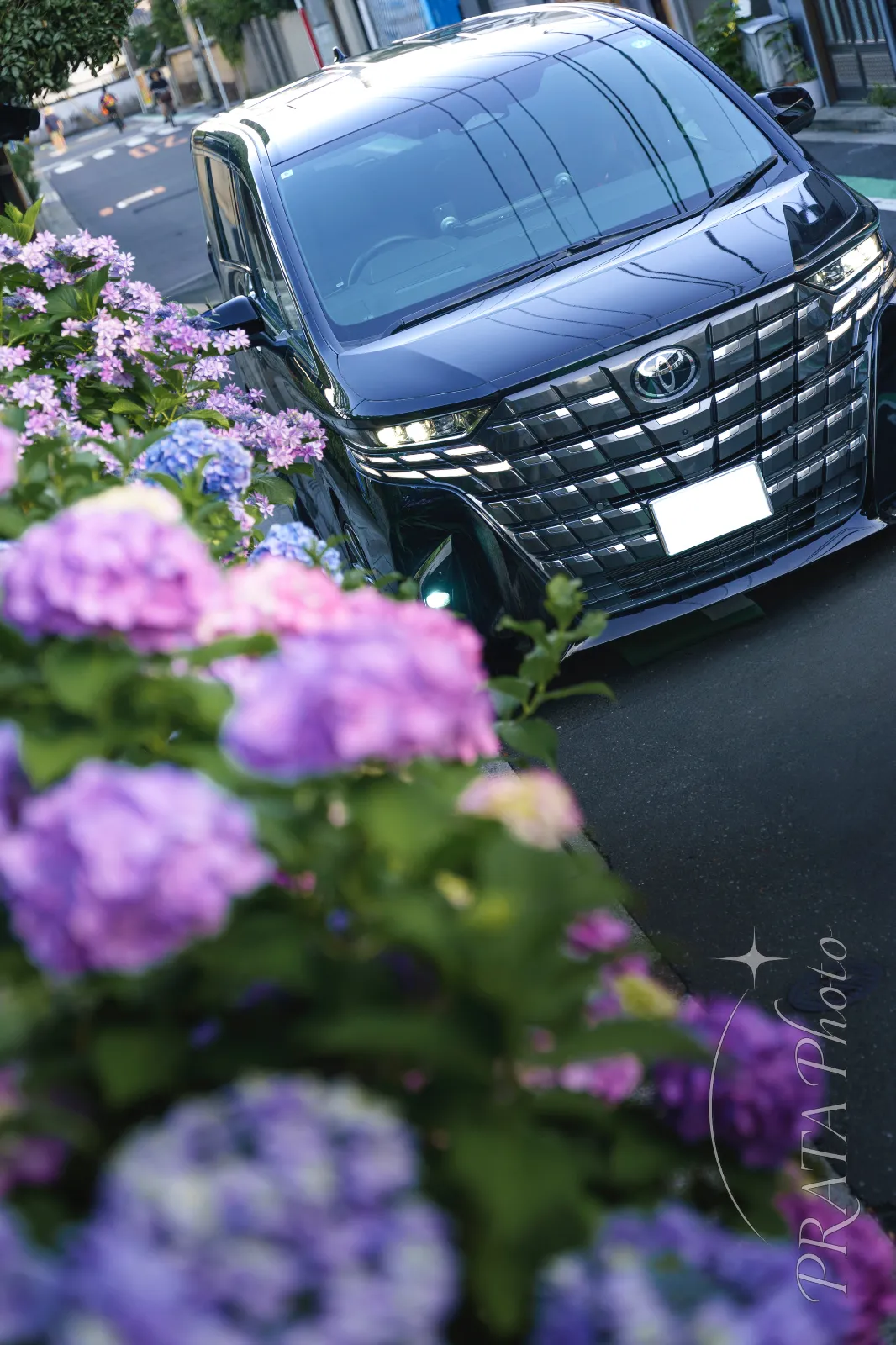 路地に咲く彩り豊かな紫陽花と愛車を対角線構図で画面半分を紫陽花で敷き詰めました😘