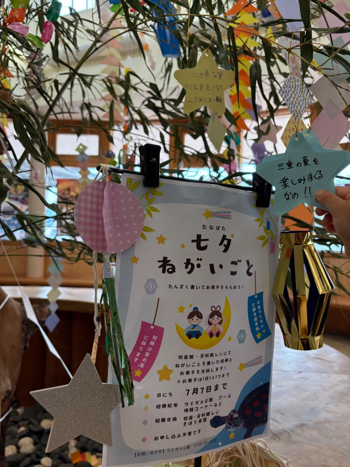 うみがめに会いに来たー！
